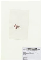 藏品(海木耳)的圖片